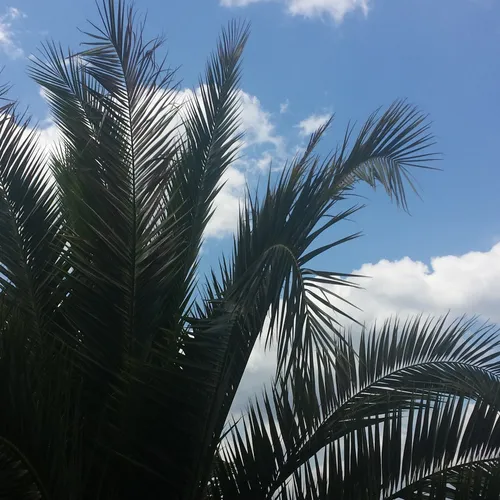 22/02/23 : Sécheresse en France