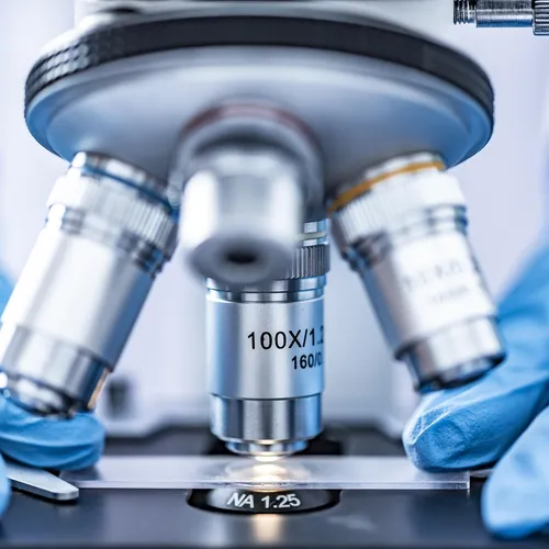 Hantavirus : la France identifie une vingtaine de cas contacts et...