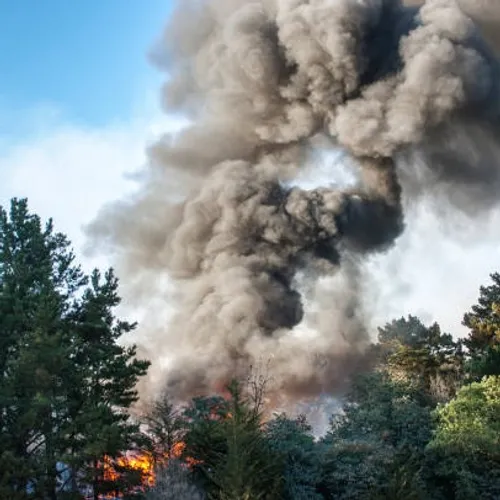 360 hectares sont partis en fumée dans les vallées de la Roya et de...