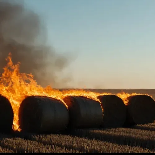 Ribeauvillé : plus de 300 tonnes de foin et de paille détruites...