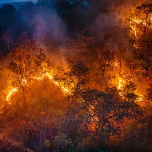 Feu de végétation sur la commune de Coursegoules dans le Var