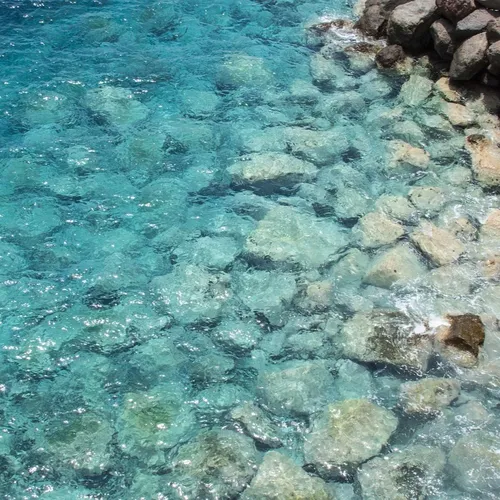 Nice : LE SOMMET DE L'OCEAN du 8 au 13/06/25