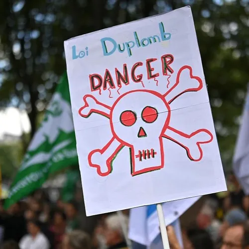 Loi Duplomb : le possible retour des néonicotinoïdes dans...