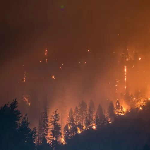 Incendies : plus de 30 000 hectares brûlés, la Gironde en état...