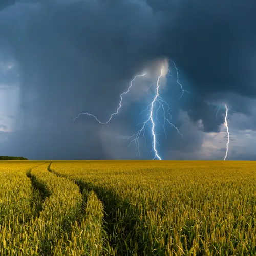 Orages : l’Alsace placée en vigilance jaune pour la journée
