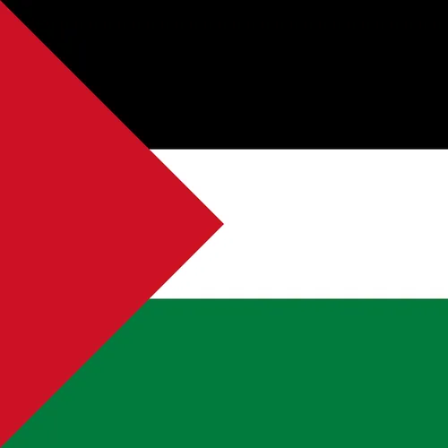 Drapeau palestinien dans les mairies