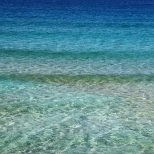 5/06/23 : Pollution marine à Menton