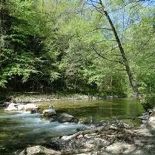 14/03/23 : Décharge sauvage dans les gorges du loup
