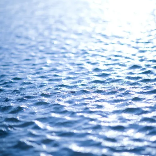 Bilan du sommet des océans qui s’est tenu la semaine dernière à Nice