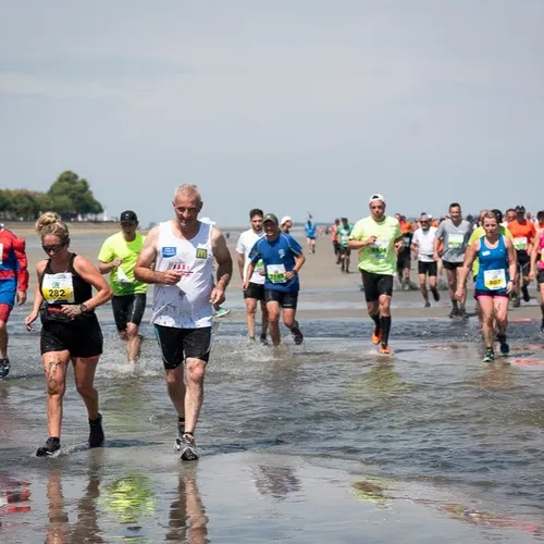 La Transbaie c’est ce week-end !