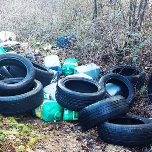 Seine-et-Marne : les premières caméras anti-dépôts sauvages activées 