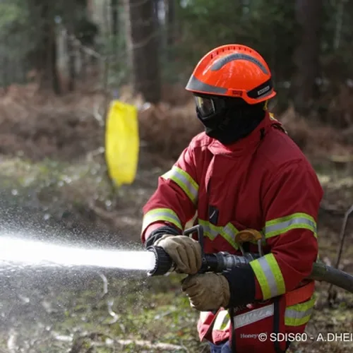 La Seine-et-Marne a elle aussi été touchée par les feux de forêt