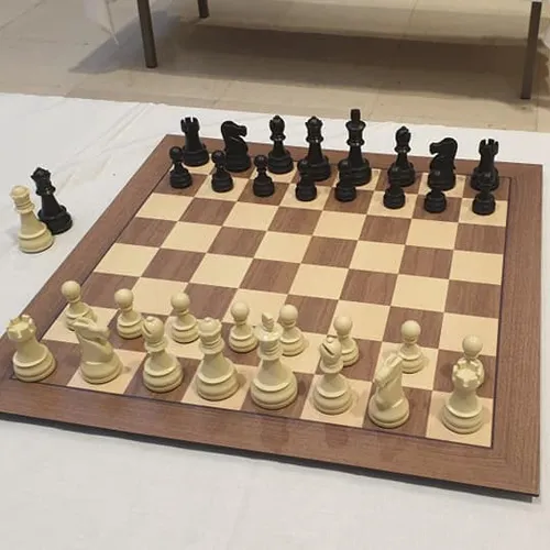 Une saison historique pour les échecs chartrains en 2026