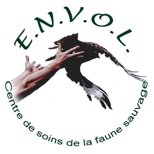 Le centre de soins de la faune sauvage de l’Oise menacé de...