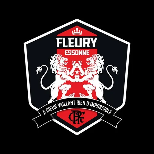 En Ligue 3, le FC Fleury 91 pourrait bientôt être entendu