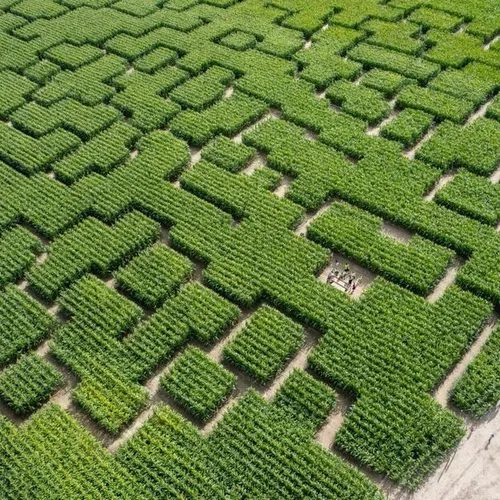 Popcorn Labyrinthe à Rouvres 