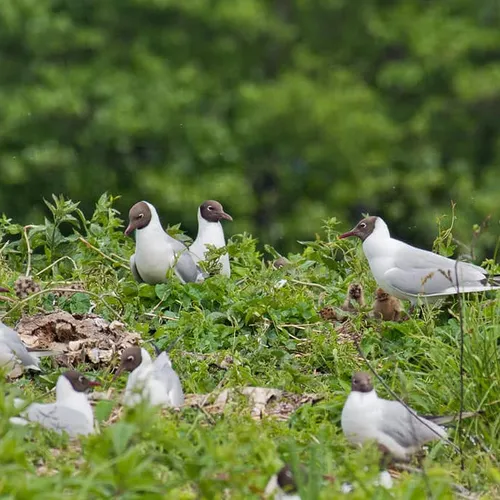 Un espace naturel protégé se révèle en canoë à...