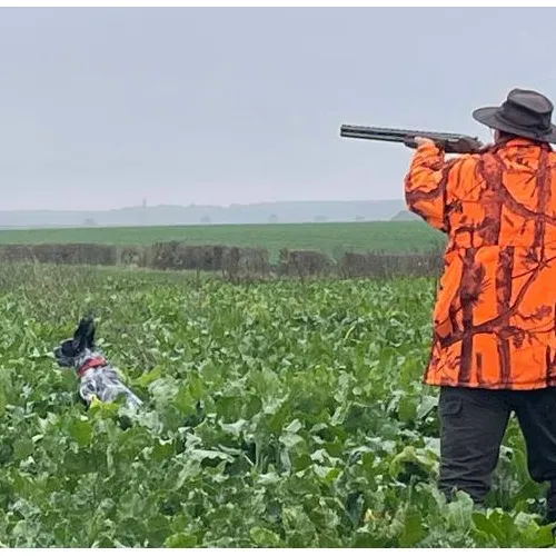 On connaît la date d'ouverture de la chasse en Seine-et-Marne