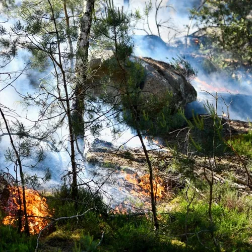 Fontainebleau saisit la justice après les incendies qui ont ravagé...