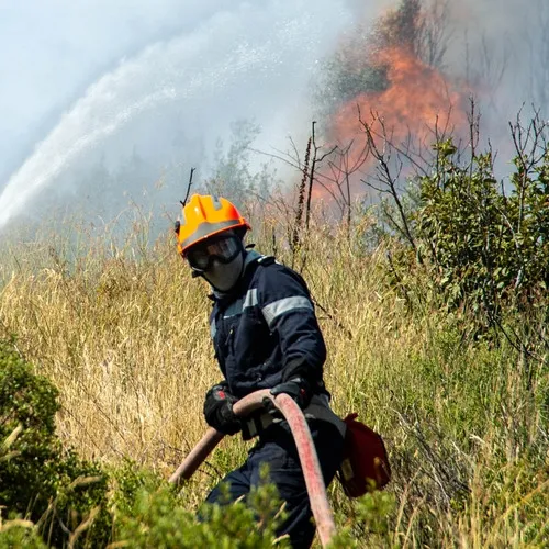 Plus de 100 millions d'euros d'aide suite aux incendies du Sud-Ouest