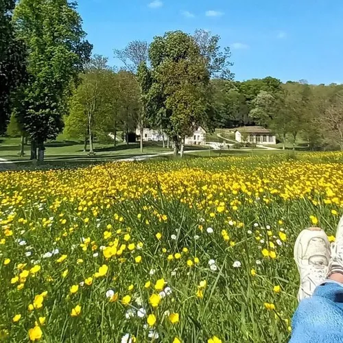 Le domaine de Méréville n'aura plus de secret pour vous