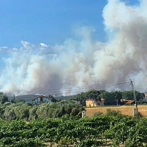Le premier bilan des incendies en France est inquiétant
