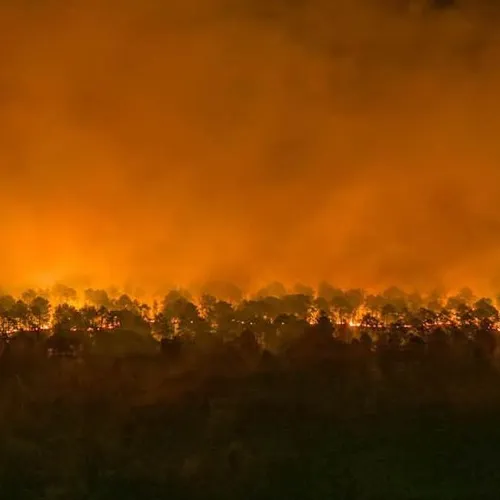 Trois reprises de feu « modérées » en forêt de Fontainebleau,...