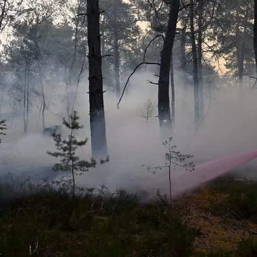 Un nouvel incendie en forêt de Fontainebleau