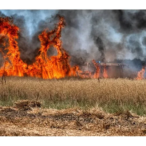 Un feu de chaume a mobilisé d’importants moyens ce samedi dans les...