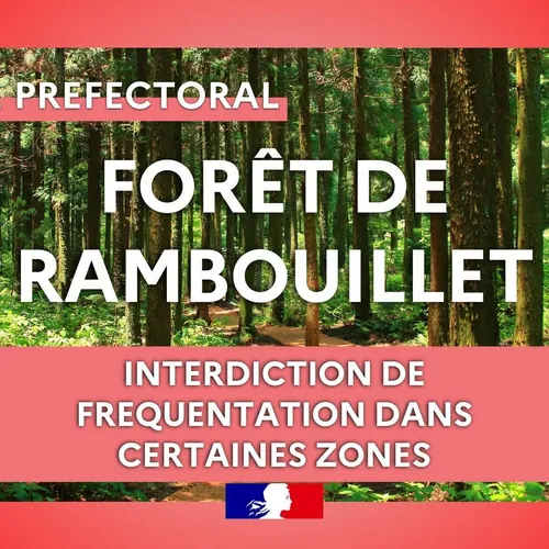 Yvelines : les autorités vous recommandent de ne pas sortir en forêt