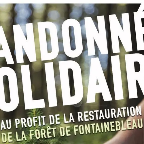Belle mobilisation dans le nord Seine-et-Marne pour la forêt de...