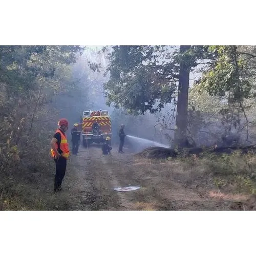 Une enquête ouverte après un violent feu de forêt dans le sud Yvelines
