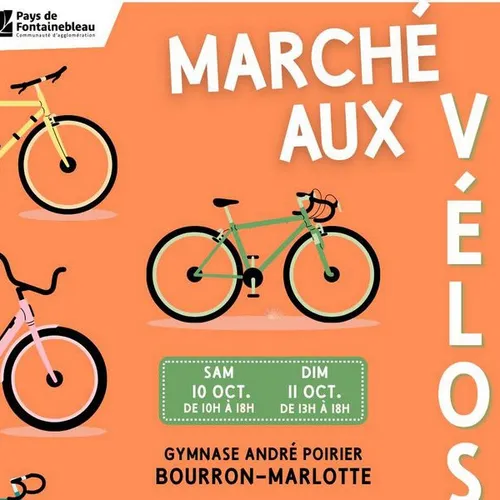 Le vélo, un moyen de transport économique et écologique dans le sud...