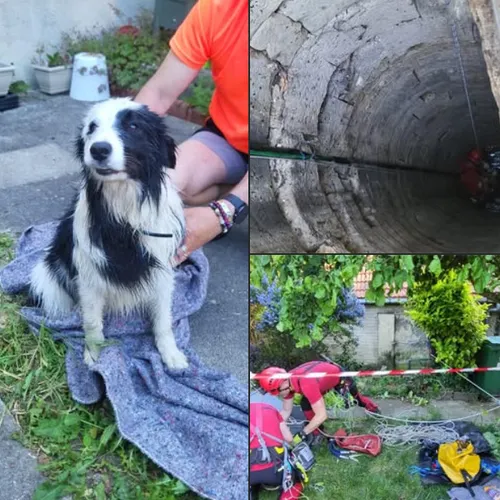 Amblainville : les pompiers secourent un chien tombé dans un puits...