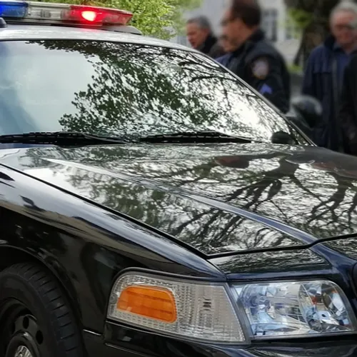 Fontainebleau : un véhicule de police américain crée le buzz