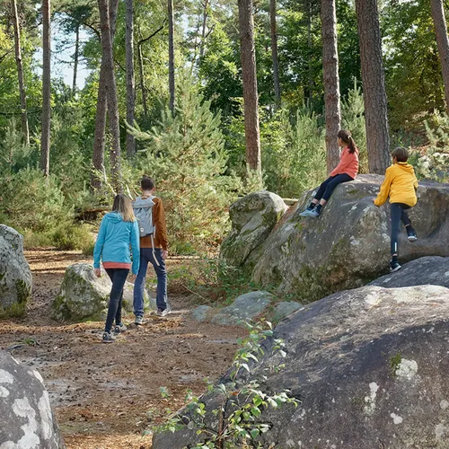 Avec les beaux jours, l’occasion de se balader en forêt est belle