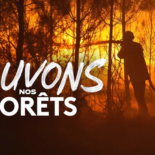 L'émission consacrée aux feux qui ont ravagé la forêt de...