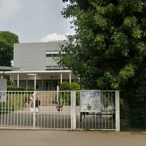 Petite panique après l’entrée d’un chien dans la cour du collège...