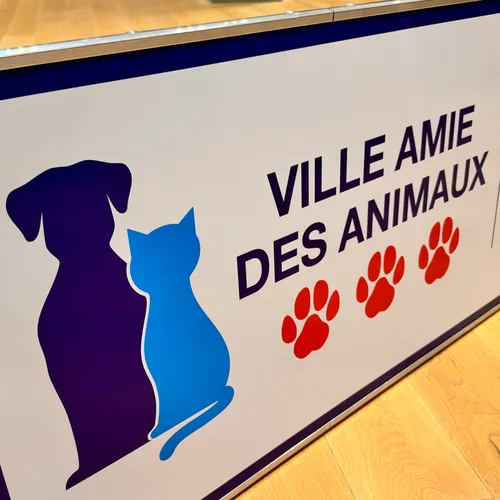 Île-de-France : quelles communes décrocheront le label « Ville amie...