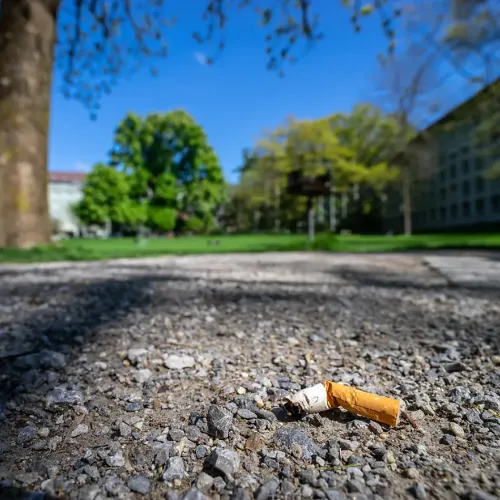Celle-Saint-Cloud : un homme arrêté pour avoir jeté sa cigarette...