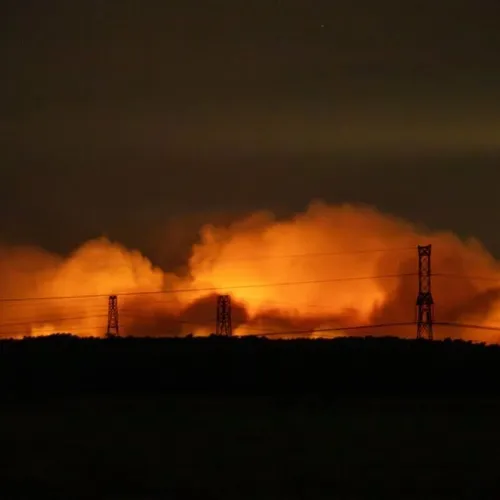 Les différentes conséquences des incendies de Fontainebleau