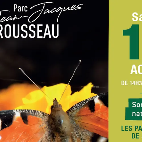 Les papillons de jour se dévoilent au parc d’Ermenonville