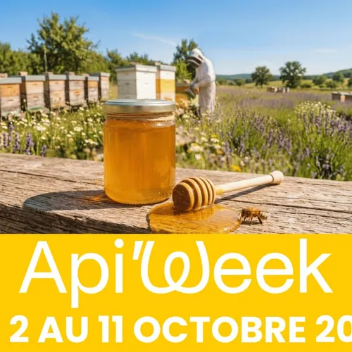 Miel et abeilles : quoi de prévu près de chez vous pour l'Api'Week...