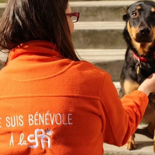 Le speed dating du bénévolat a lieu ce mercredi à Beauvais