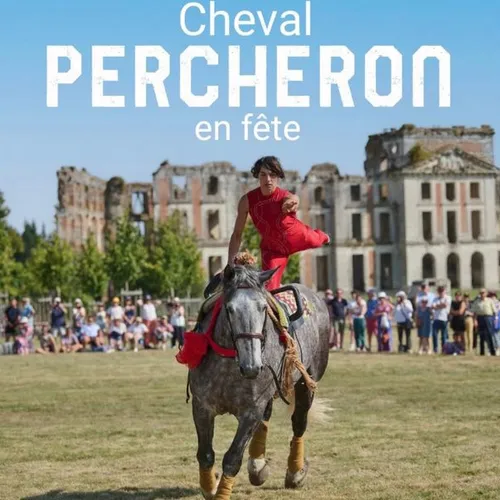 Le cheval percheron célébré au domaine de La Ferté-Vidame