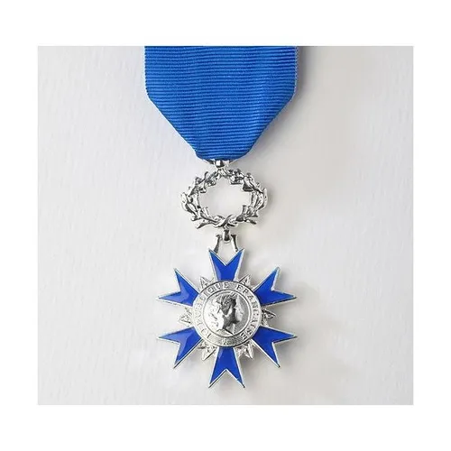 Un para-judoka reçoit une médaille à Trilport