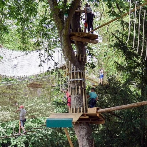Il vaut mieux se lever tôt pour taquiner la cime des arbres à Chartres