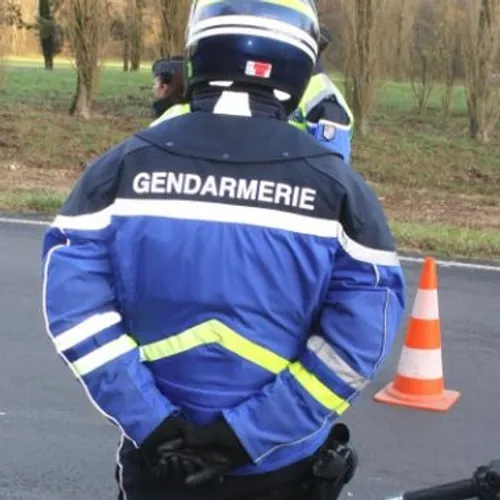 Ozoir-la-Ferrière : le conducteur pontellois collectionne les...