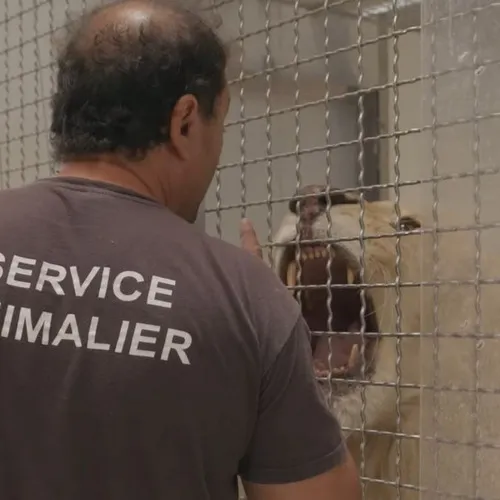 Le refuge de la Tanière fait l'objet de plusieurs enquêtes judiciaires