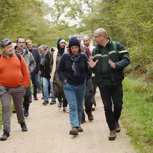 « Tous en forêt » : des balades gratuites avec les forestiers de...